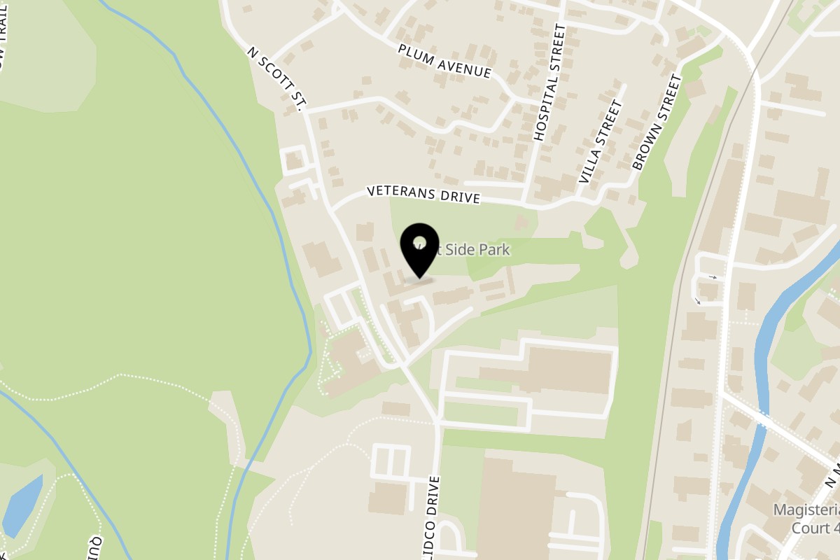 Map showing the location of La Rocca Pizza & Pasta Carbondale on 46 N Scott St in Carbondale